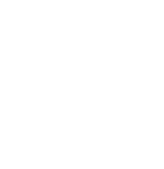 キッチンカーキング